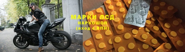 шишки Богородицк